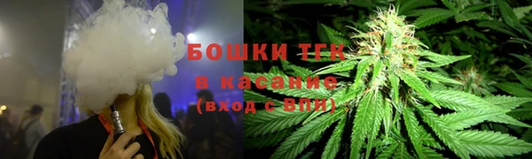 индика Верея