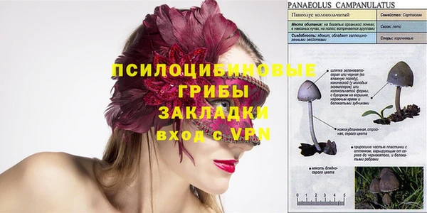молекула духа Новодвинск