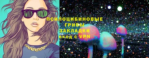 молекула духа Новодвинск