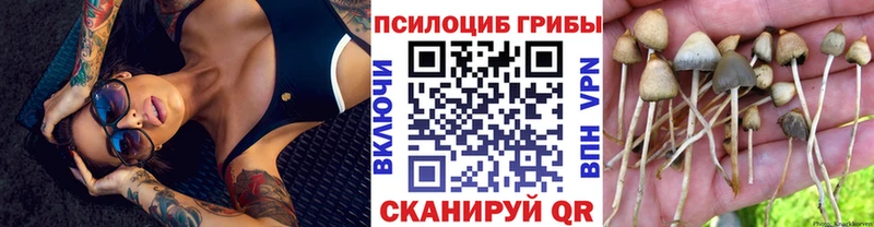 Псилоцибиновые грибы ЛСД  цена наркотик  Кашин 