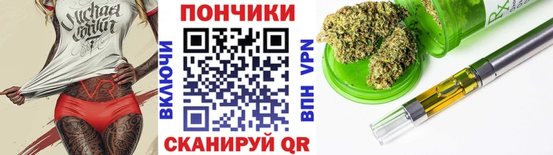 Каннабис сатива Кашин
